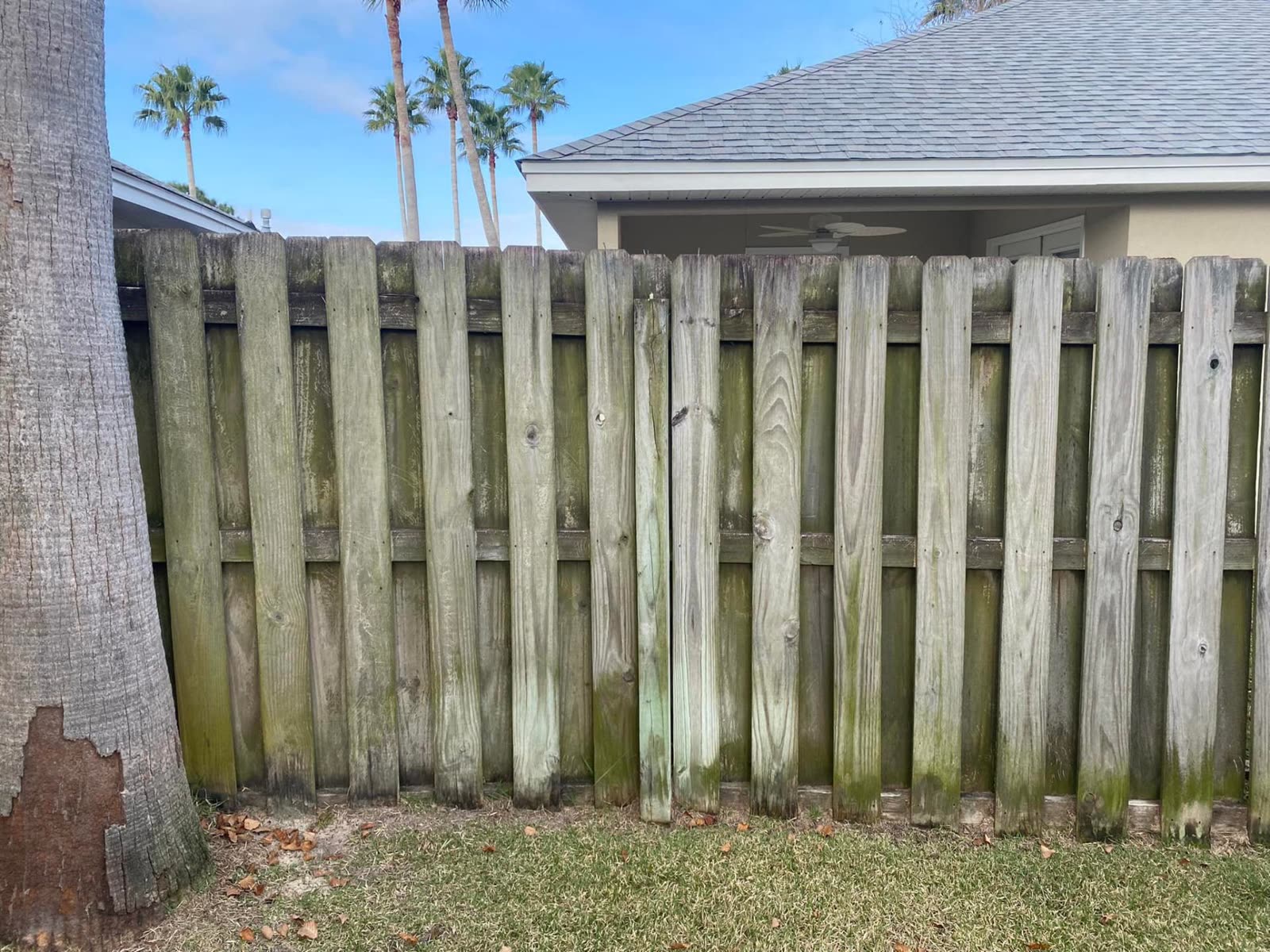 Deck & Fence Restoration before
