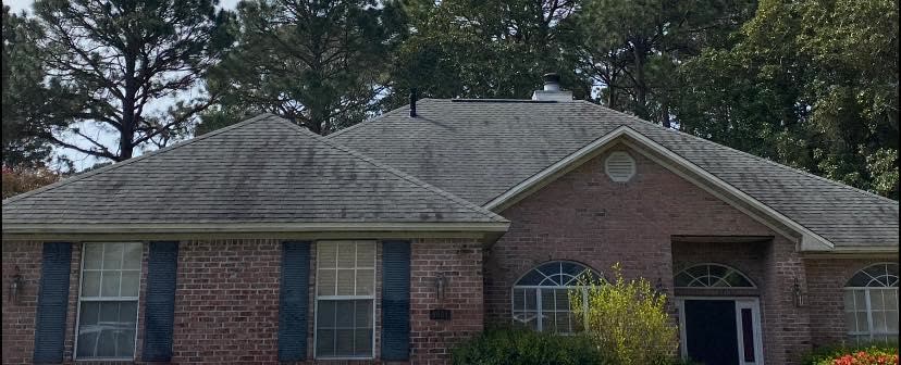 Roof Soft Washing before